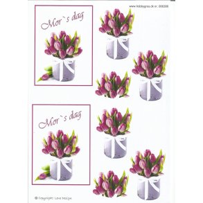 Mors dag lilla tulipanner