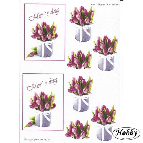 Mors dag lilla tulipanner