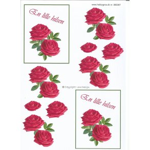 En lille hilsen m/ rde roser