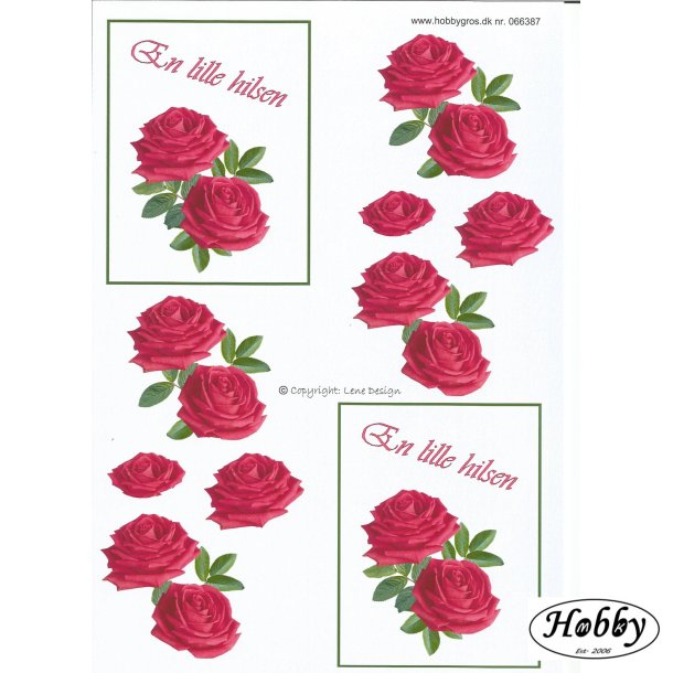 En lille hilsen m/ rde roser