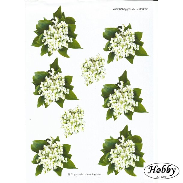 Sm hvide blomster