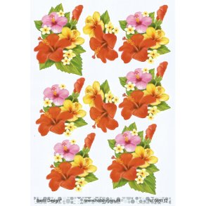 Rde gule rosa blomster