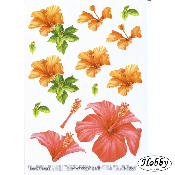 Hawaiiblomst