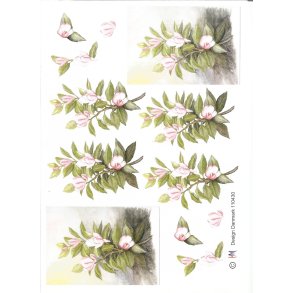 Hvide / roas blomster