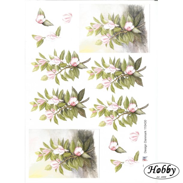 Hvide / roas blomster