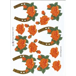 Hestesko m/ orange/rd blomst