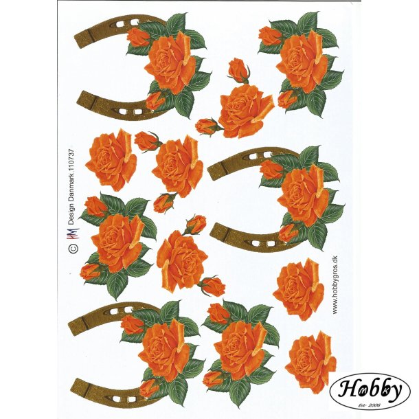 Hestesko m/ orange/rd blomst