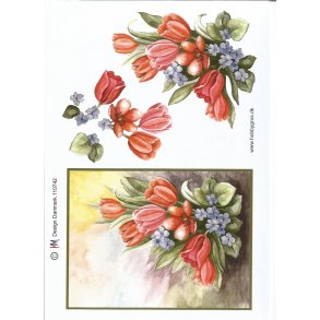 Stor tulipan billede