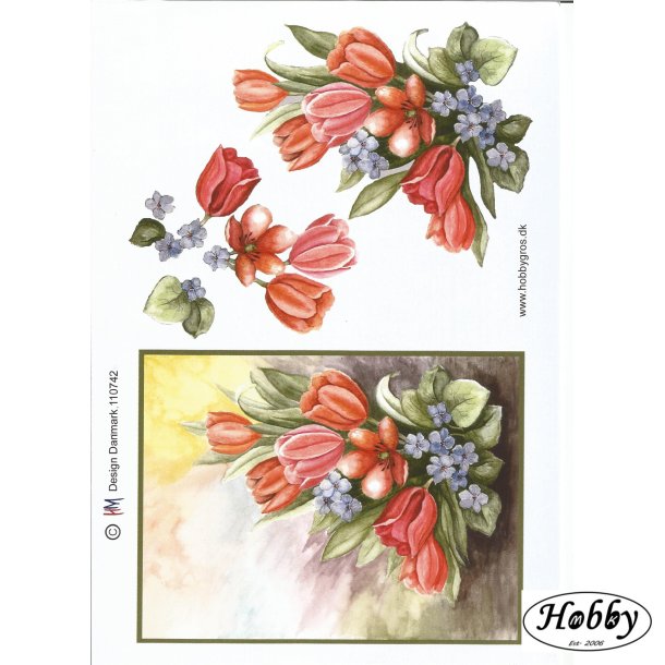 Stor tulipan billede