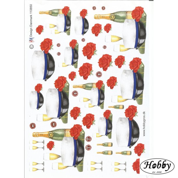 Bl studenter hue med champange