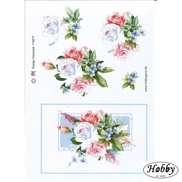 Hvide og pink roser stor