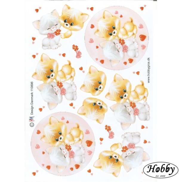 Missekatter m/ hjerter lyserd