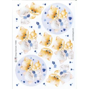 Missekatter m/ hjerter bl