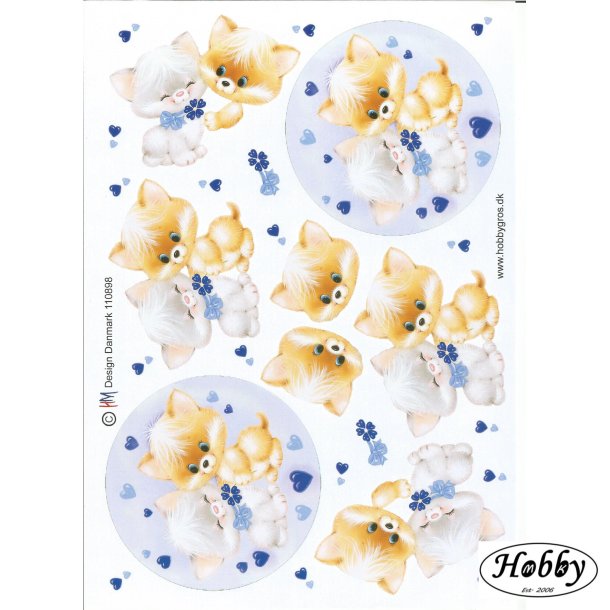 Missekatter m/ hjerter bl