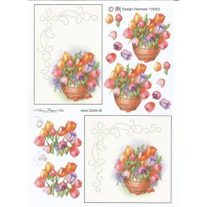 Flere farvet tulipaner