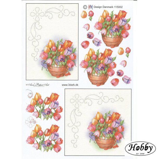 Flere farvet tulipaner