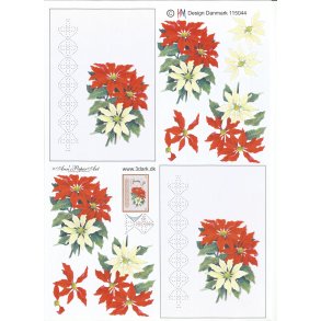 Rde og hvide blomster