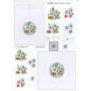 Hvide blomster med br