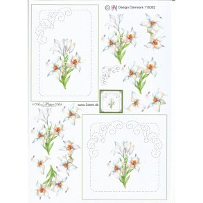 Hvide blomster med br