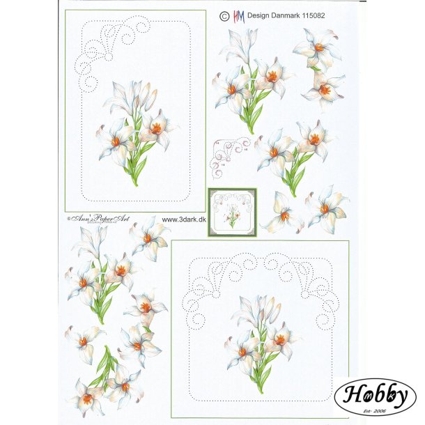 Hvide blomster med br