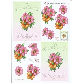 Franske anemoner sy motiv