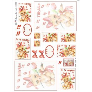 tillykke kort med kat