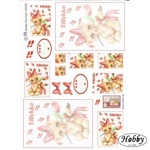 tillykke kort med kat