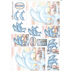 Tillykke kort med delfiner