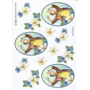 Dreng i ramme og blomster