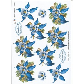 Smukke blomster i bl farver