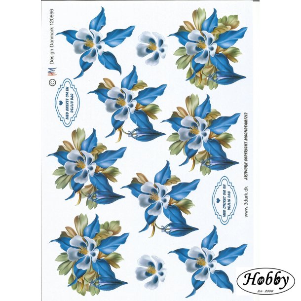 Smukke blomster i bl farver