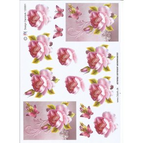 Lilla rose p� smuk baggrund