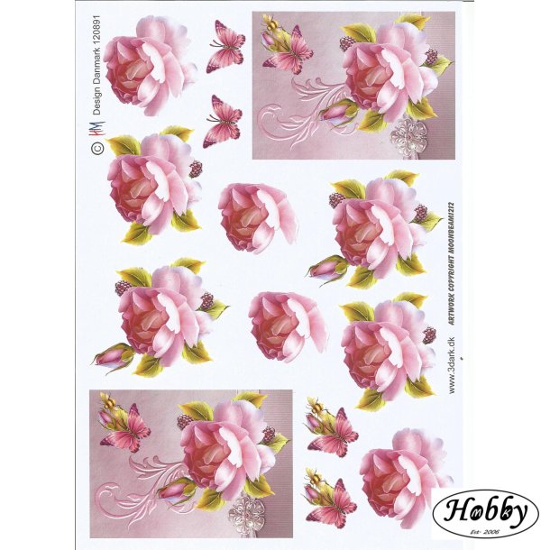 Lilla rose p� smuk baggrund