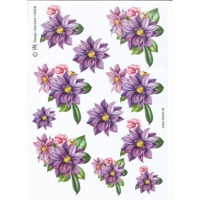 Sknne frsrsblomster i lilla farver