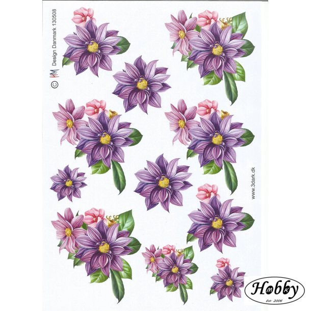 Sknne frsrsblomster i lilla farver