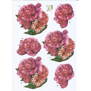 Pink blomst med sommerfugl