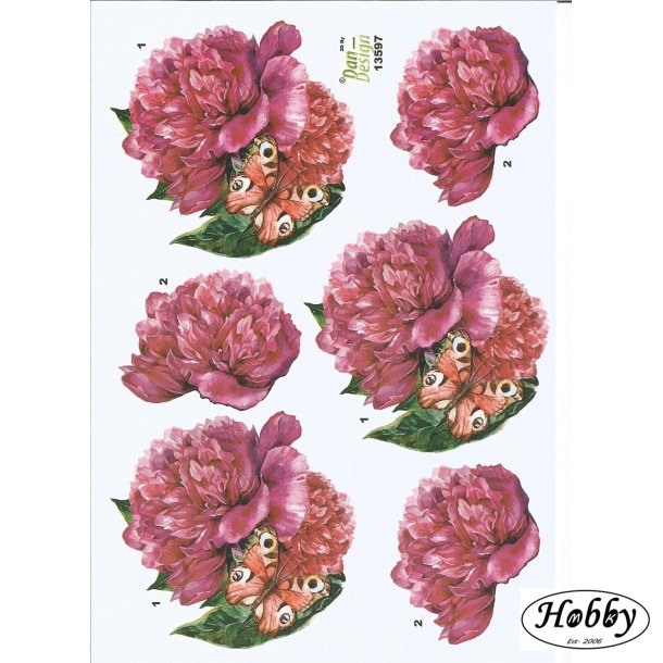 Pink blomst med sommerfugl