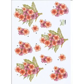 Rde og lilla blomster