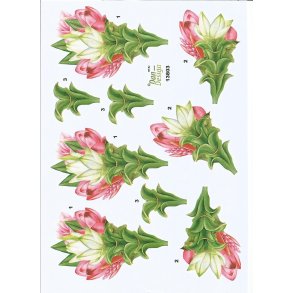 Pink og hvide blomster