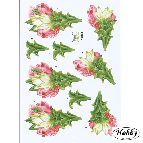 Pink og hvide blomster