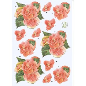 Laksefarvet blomster