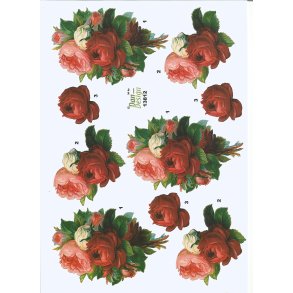 Rde hvide og rosa blomster