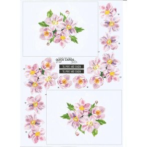 Quick cards anemoner