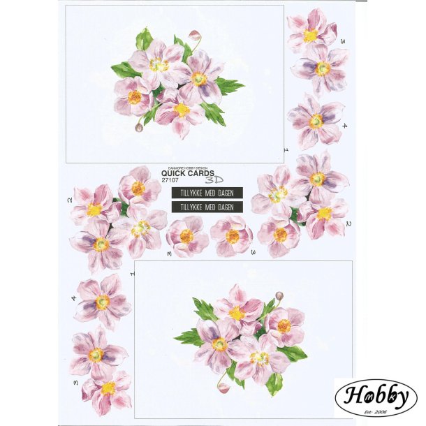 Quick cards anemoner