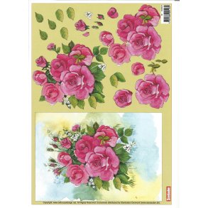 Stort billede m/ pink roser