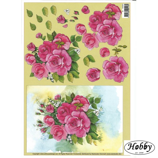 Stort billede m/ pink roser