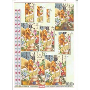 Hund og kat leger med garn