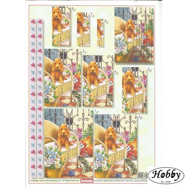 Hund og kat leger med garn