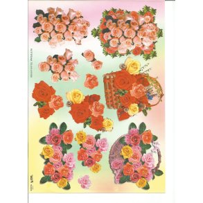 Rde og lyserde roser