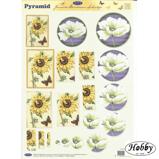 Runde/ aflange blomster